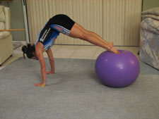 pike stability ball downloads
